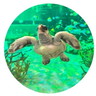 user-img